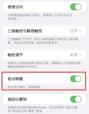 桦川苹果授权维修站分享iPhone轻点无法唤醒怎么办