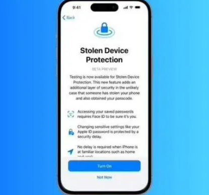 桦川苹果授权维修店分享被盗设备保护功能开启方法 