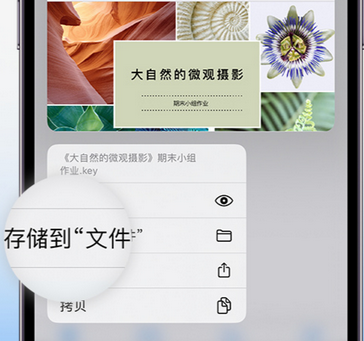 桦川apple维修中心分享iPhone文件应用中存储和找到下载文件