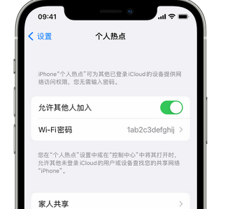 桦川apple服务站点分享iPhone上个人热点丢失了怎么办