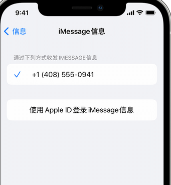 桦川apple维修iPhone上无法正常发送iMessage信息 