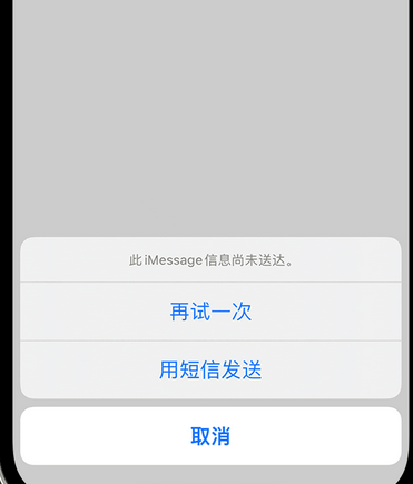 桦川apple维修iPhone上无法正常发送iMessage信息