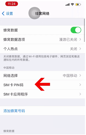 桦川苹果14维修网分享如何给iPhone14的SIM卡设置密码 