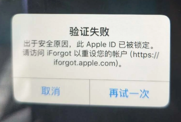 桦川iPhone维修分享iPhone上正常登录或使用AppleID怎么办 