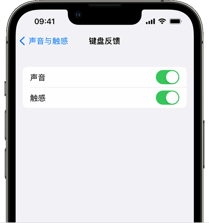 桦川苹果14维修店分享如何在 iPhone 14 机型中使用触感键盘 