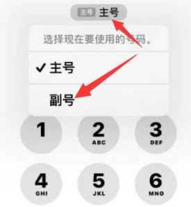 桦川苹果14维修店分享iPhone 14 Pro Max使用副卡打电话的方法 