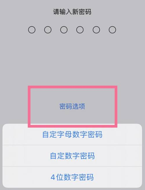 桦川苹果14维修分享iPhone 14plus设置密码的方法 