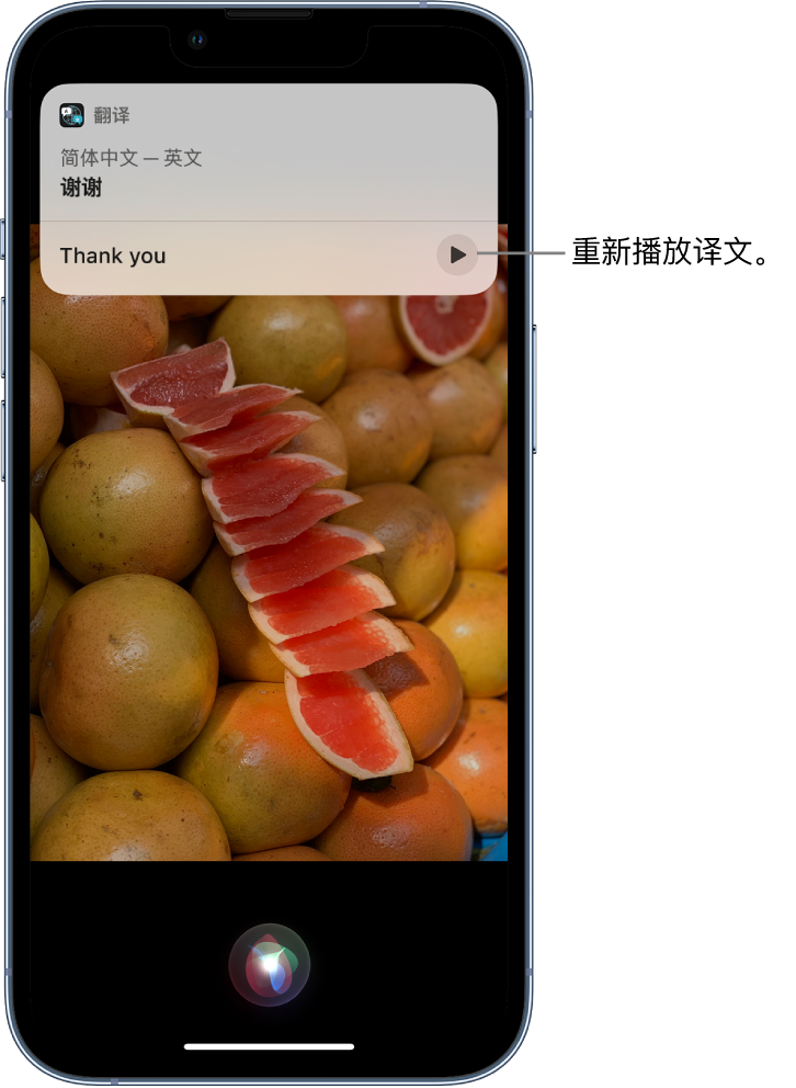 桦川苹果14维修分享 iPhone 14 机型中使用 Siri：了解 Siri 能帮你做什么 