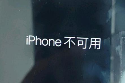 桦川苹果服务网点分享锁屏界面显示“iPhone 不可用”如何解决 