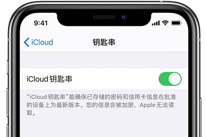 桦川苹果手机维修分享在 iPhone 上开启 iCloud 钥匙串之后会储存哪些信息 