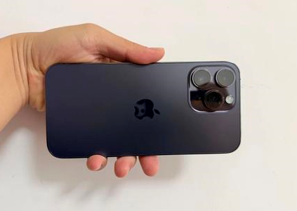 桦川苹果维修点分享iPhone 14 Pro Max黑屏少见故障盘点 